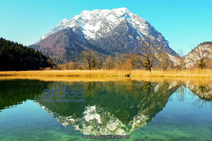 : Grimming mountain reflected in the lake in spring : Grimming mountain reflected in the lake in spring