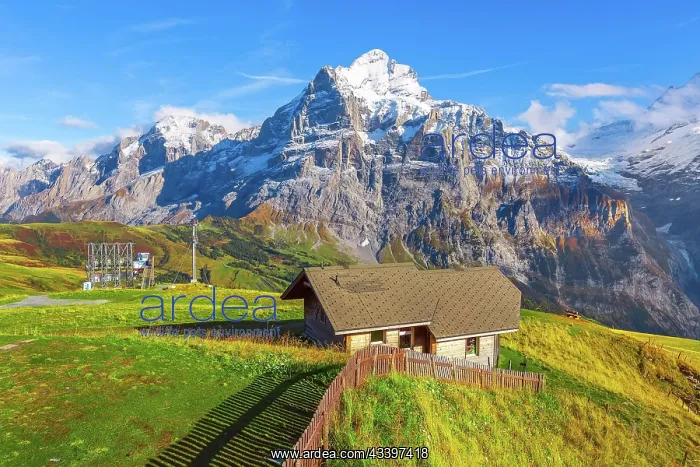 : Grindelwald First, Switzerland aerial Swiss Alps : Grindelwald First, Switzerland aerial Swiss Alps