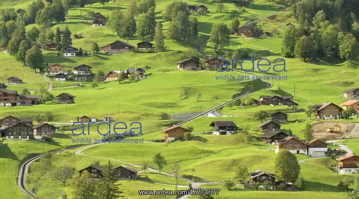 : Grindelwald Grund district with Wengernalp railway : Grindelwald Grund district with Wengernalp railway