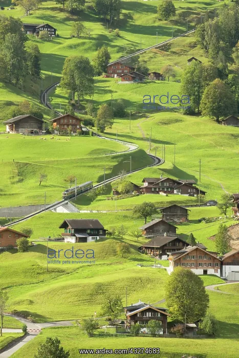 : Grindelwald Grund district with Wengernalp railway : Grindelwald Grund district with Wengernalp railway