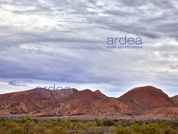 : Grindstone Range, located in the southern part : Grindstone Range, located in the southern part