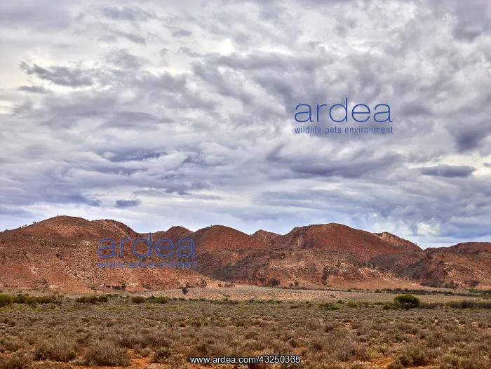 : Grindstone Range, located in the southern part : Grindstone Range, located in the southern part