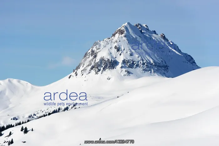  : Gro&, x7e5;r Rettenstein, snow-covered mountain in