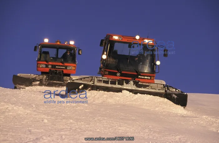 : Grooming snow : Grooming snow