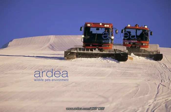 : Grooming snow : Grooming snow