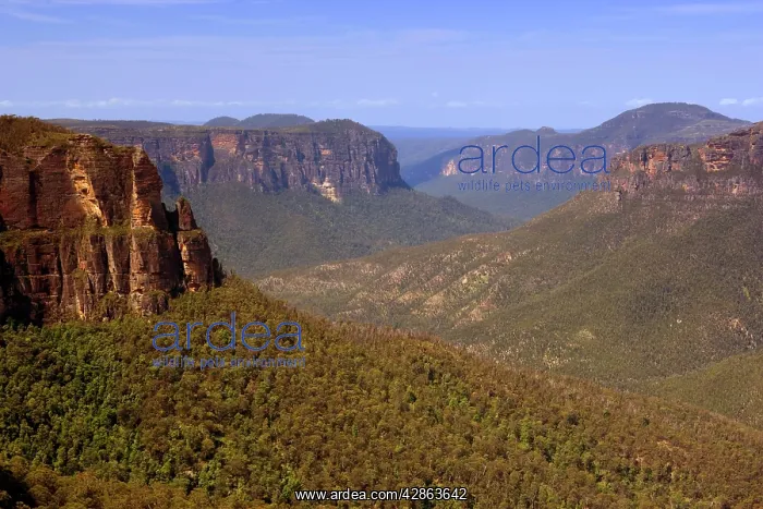 : Grose Valley - view from Govetts Leap Lookout towards : Grose Valley - view from Govetts Leap Lookout towards