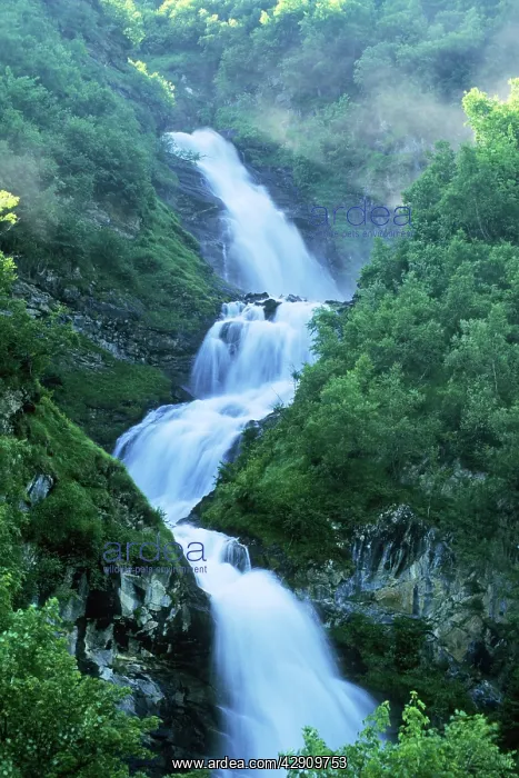 : Gross Glockner National Park - mountain stream : Gross Glockner National Park - mountain stream