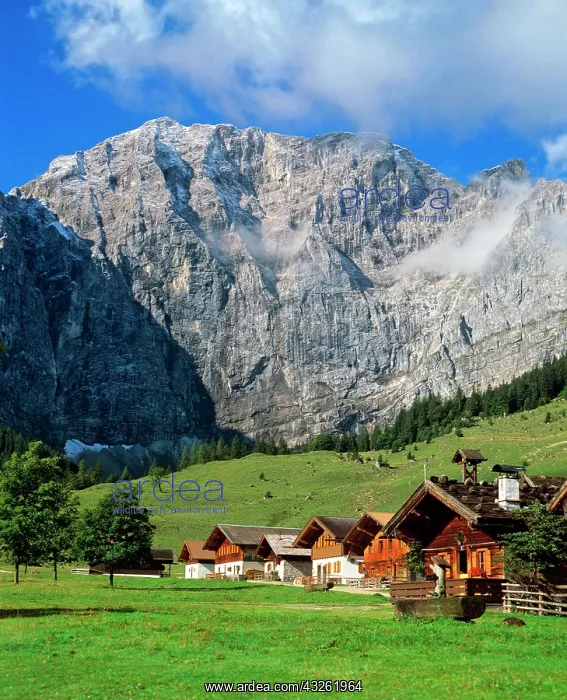 : Grosser Ahornboden, Eng, Grubenkarspitze, Karwendel : Grosser Ahornboden, Eng, Grubenkarspitze, Karwendel