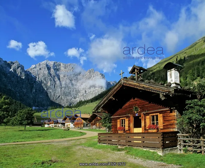 : Grosser Ahornboden, Eng, Grubenkarspitze, Karwendel : Grosser Ahornboden, Eng, Grubenkarspitze, Karwendel