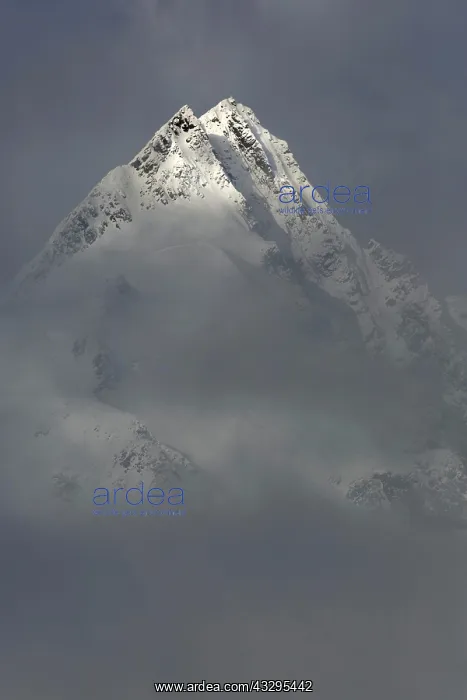 : Grossglockner summit with clouds, High Tauern National : Grossglockner summit with clouds, High Tauern National