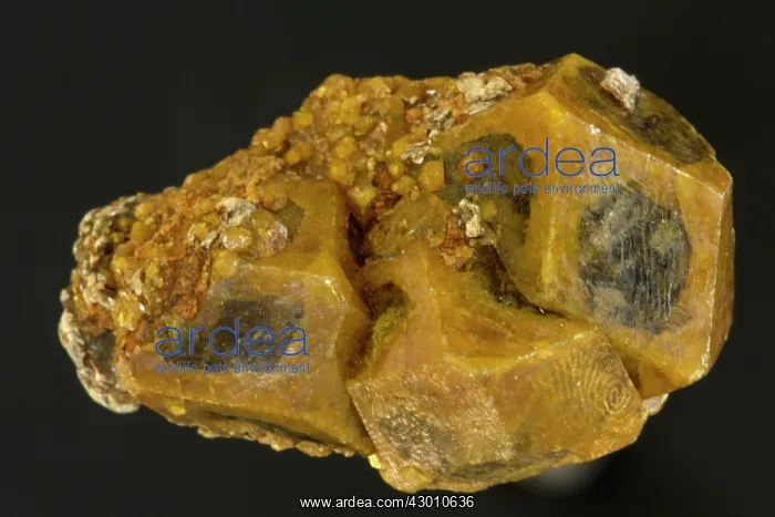 : Grossulaire Clinochlore : Grossulaire Clinochlore