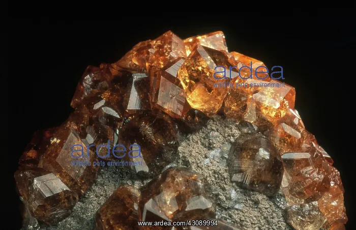 : Grossular Garnet : Grossular Garnet