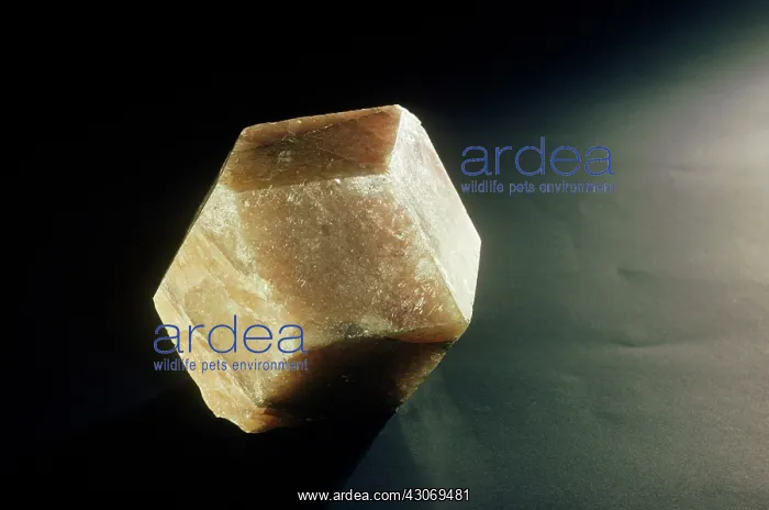 : Grossular from Morelos, Mexico : Grossular from Morelos, Mexico