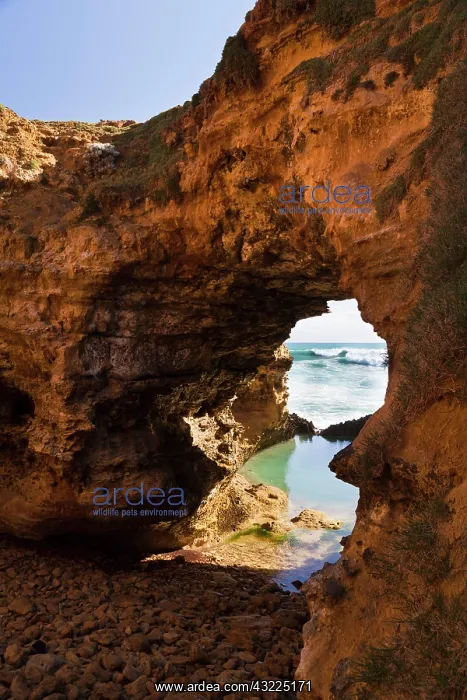 : The Grotto and cliffs, Great Ocean Road : The Grotto and cliffs, Great Ocean Road