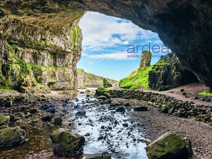 : Grotto and Waterfall in Smoo Cave, NC500, North Scotland, UK : Grotto and Waterfall in Smoo Cave, NC500, North Scotland, UK