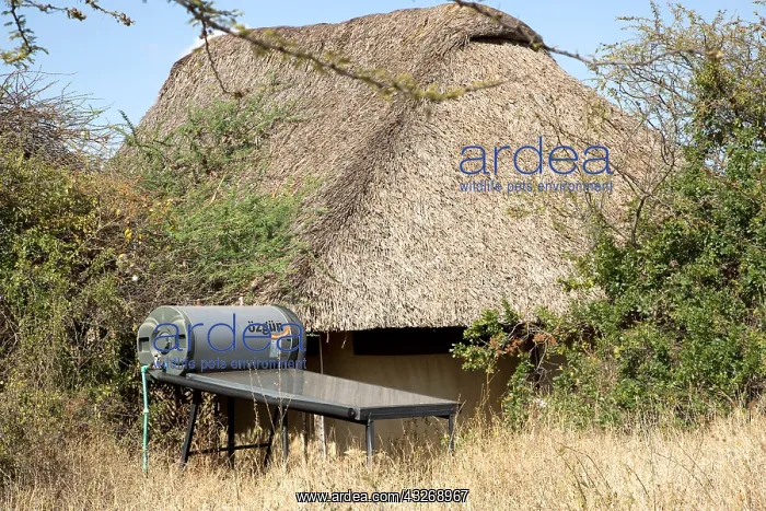 : Ground mounted solar hot water collector, outside : Ground mounted solar hot water collector, outside