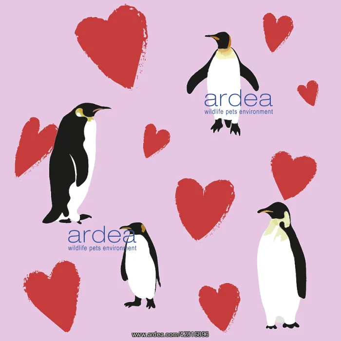 : Group of Penguins against a pink background with : Group of Penguins against a pink background with