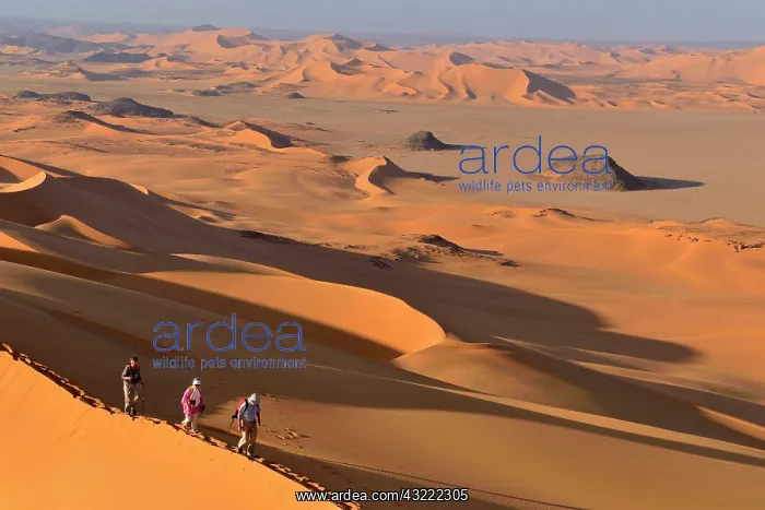 : Group of people hiking in the sanddunes of Egedi : Group of people hiking in the sanddunes of Egedi