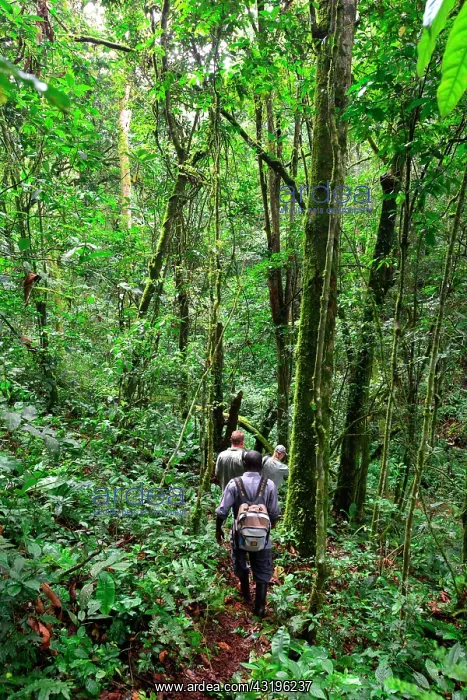 : Group of tourists and porters going to meet the : Group of tourists and porters going to meet the