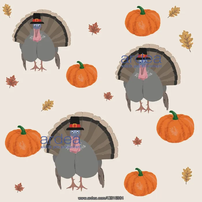 : Group of Turkeys dressed for Thanksgiving Day : Group of Turkeys dressed for Thanksgiving Day