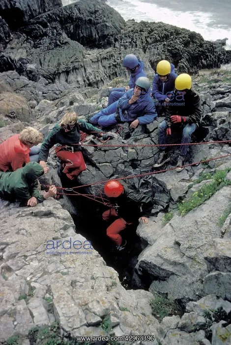 : Group of young people caving : Group of young people caving