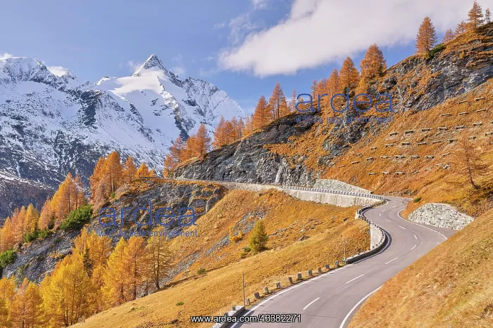 : GroYglockner High Alpine Road in autumn, larches : GroYglockner High Alpine Road in autumn, larches