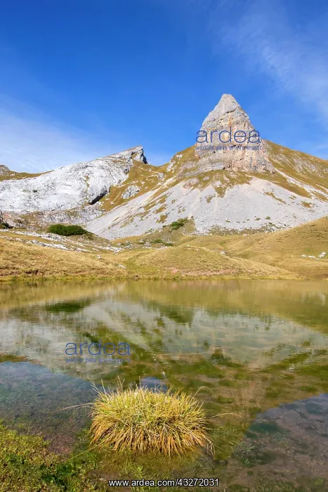  : Grubalacke, behind it peaks Seekarlspitze and Rosskopf