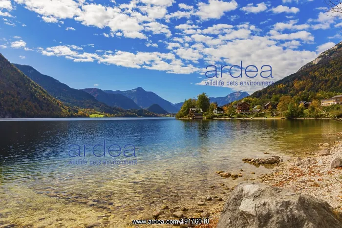 : Grundlsee in autumn, salzkammergut : Grundlsee in autumn, salzkammergut