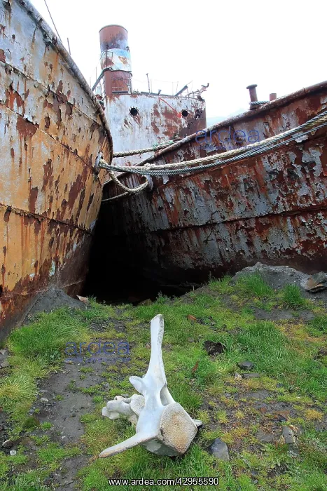 : Grytviken - with whale vertebra - whaling station : Grytviken - with whale vertebra - whaling station