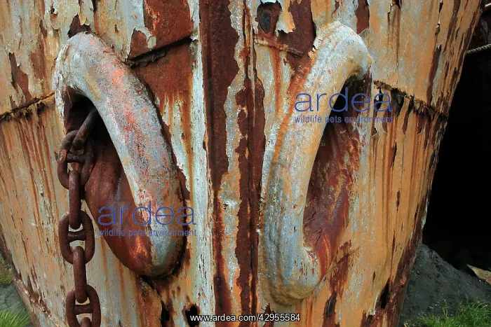 : Grytviken - whaling station : Grytviken - whaling station