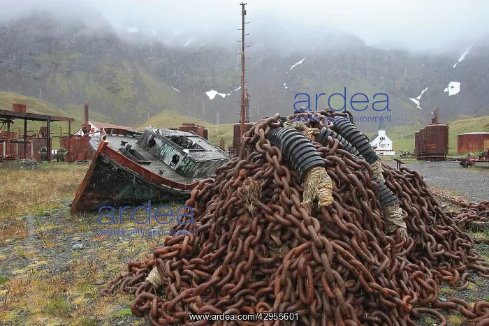 : Grytviken - whaling station : Grytviken - whaling station