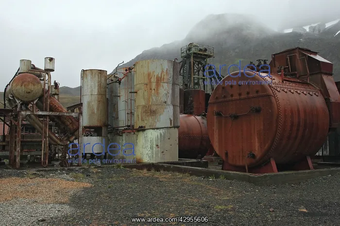 : Grytviken - whaling station : Grytviken - whaling station