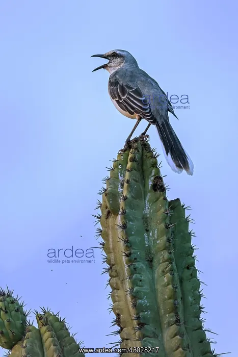  : Guajira Peninsula, Colombia