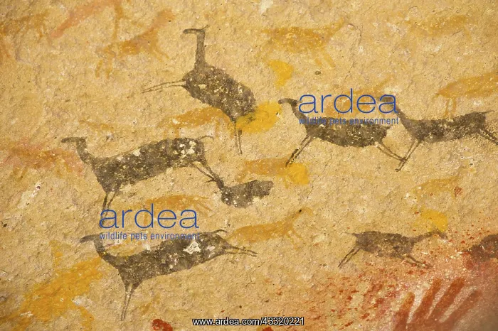 : Guanaco. Rock painting in Cave of the Hands near Perito Moreno in Argentina : Guanaco. Rock painting in Cave of the Hands near Perito Moreno in Argentina