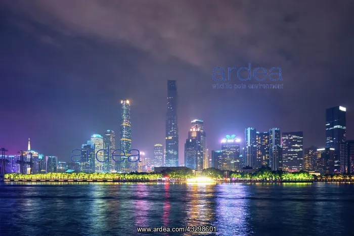 : Guangzhou cityscape skyline over the Pearl River : Guangzhou cityscape skyline over the Pearl River