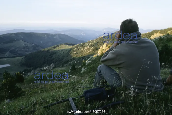 : Guard looking out unguarded sheep pastures in Bears area : Guard looking out unguarded sheep pastures in Bears area