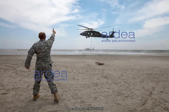 : Guardsman Directs Placement of Sandbags : Guardsman Directs Placement of Sandbags