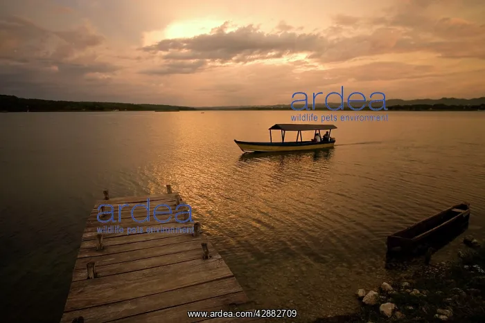 : Guatemala - Flores Lake & pontoon at sunset : Guatemala - Flores Lake & pontoon at sunset