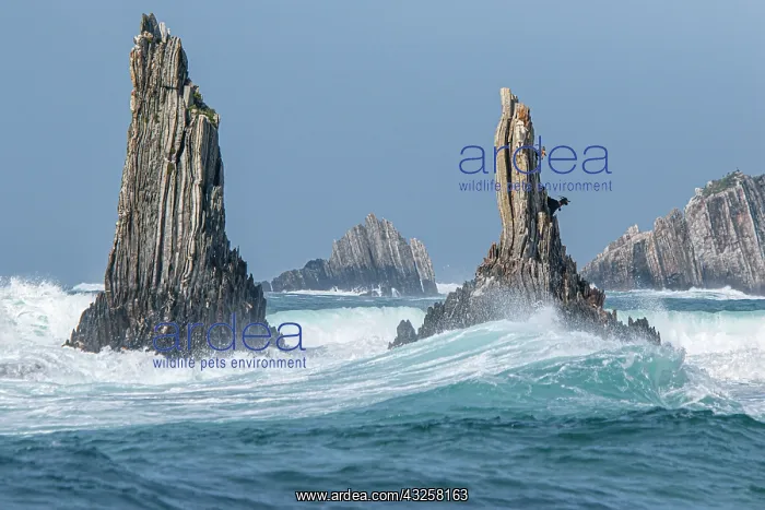 : Gueirua / Gairua beach - Asturias, Spain : Gueirua / Gairua beach - Asturias, Spain