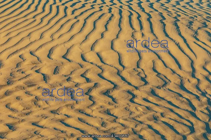 : Guerrero Negro, Mulege, Baja California Sur, Mexico : Guerrero Negro, Mulege, Baja California Sur, Mexico