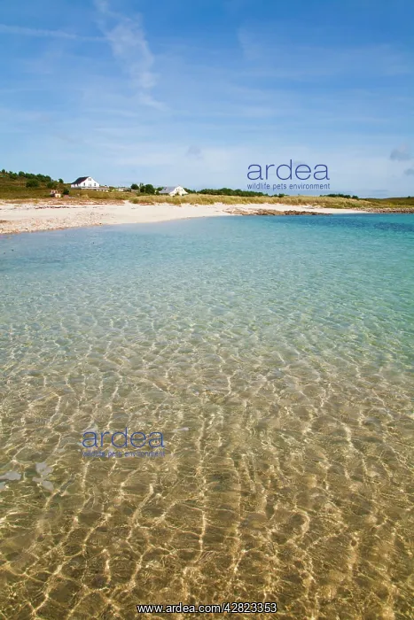 : Gugh - St Agnes : Gugh - St Agnes