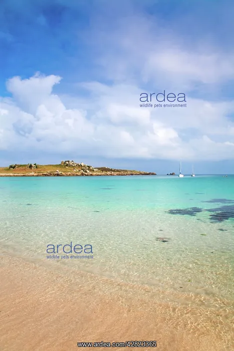 : Gugh - St Agnes : Gugh - St Agnes