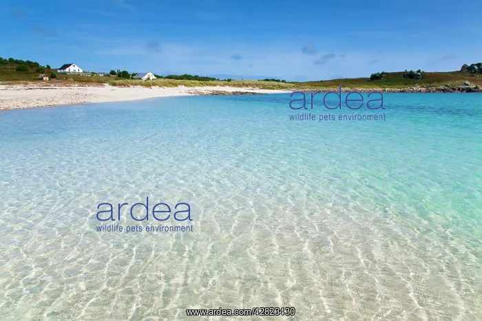 : Gugh - St Agnes : Gugh - St Agnes