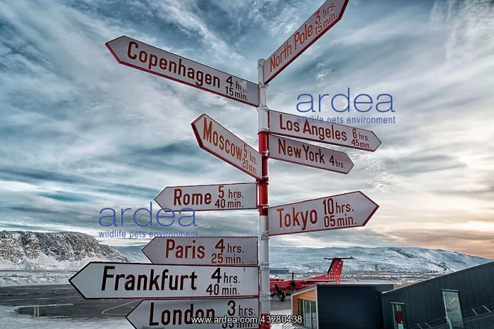 : Guide with distances of international cities at : Guide with distances of international cities at