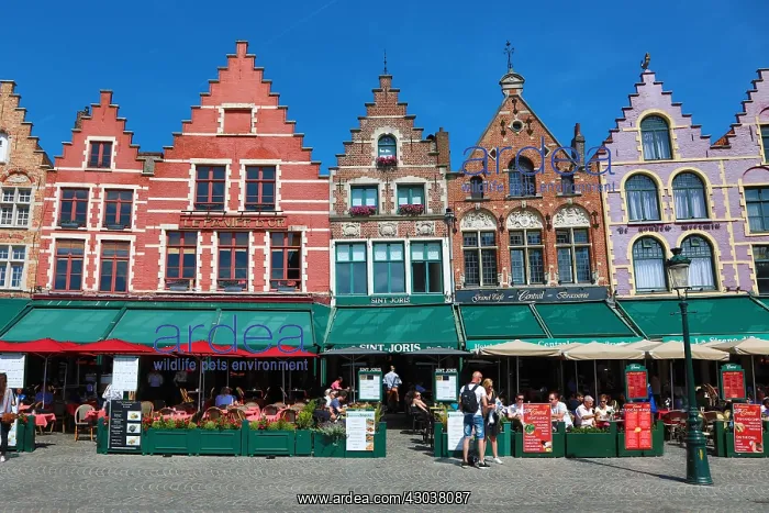 : Guild houses converted into restaurants in the Market : Guild houses converted into restaurants in the Market