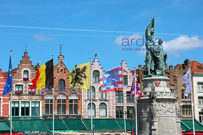: Guild houses converted into restaurants and statue : Guild houses converted into restaurants and statue