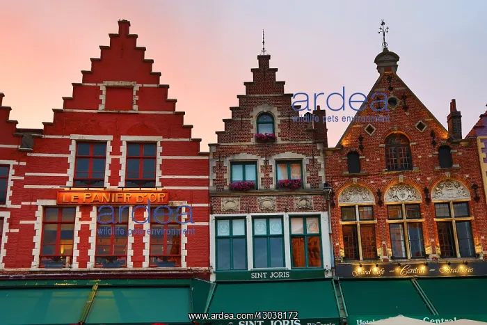 : Guild houses converted into restaurants at sunset : Guild houses converted into restaurants at sunset