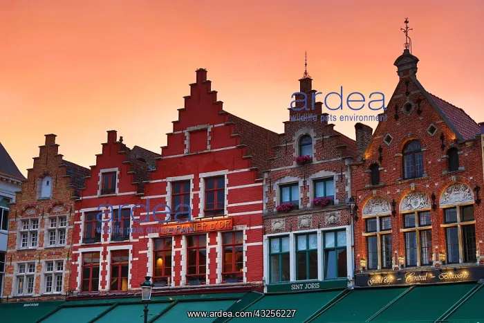 : Guild houses converted into restaurants at sunset : Guild houses converted into restaurants at sunset