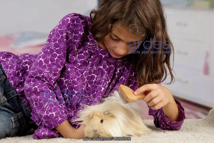  : Guinea Pig