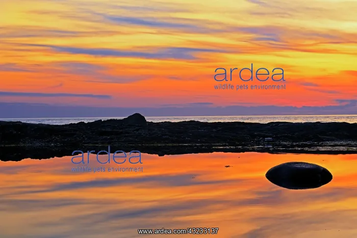 : Gulf of St. Lawrence reflection at sunset : Gulf of St. Lawrence reflection at sunset